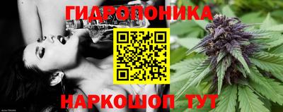 тгк Нальчик