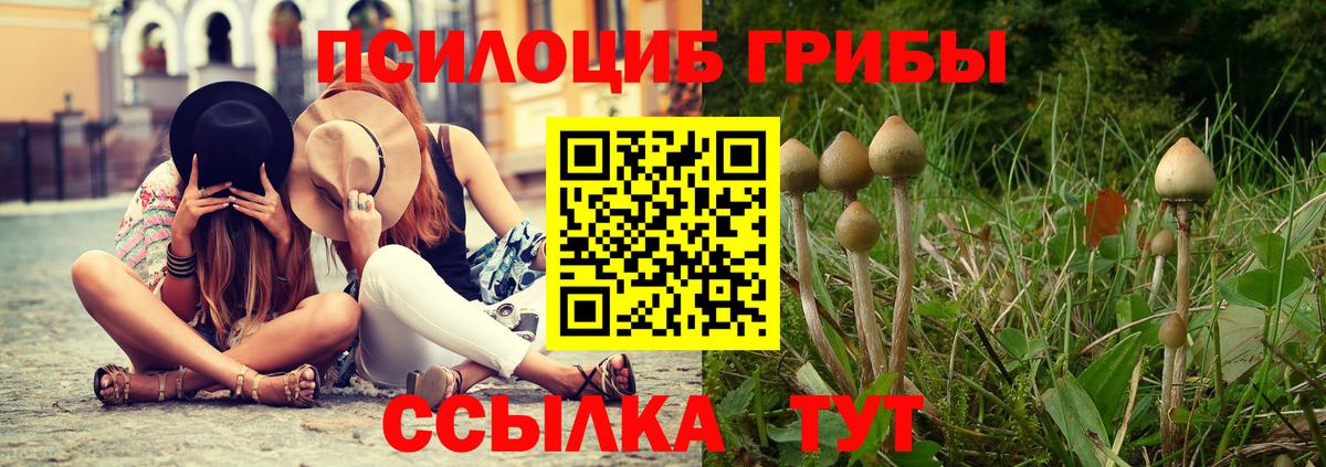 Пугачёв  Галлюциногенные грибы GOLDEN TEACHER  Вход с VPN  где можно купить наркотик  Галлюциногенные грибы Psilocybe 